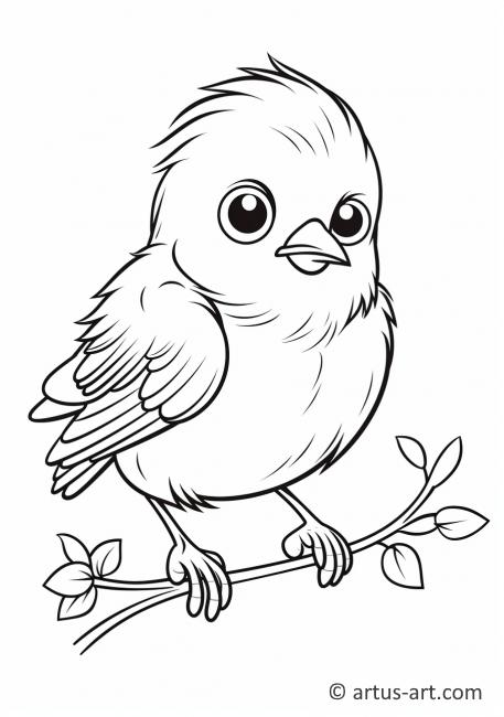 Bluebird Coloring Page